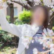 ヒメ日記 2025/04/26 23:01 投稿 南條(なんじょう) Ageha（あげは）