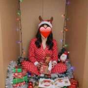 ヒメ日記 2025/12/25 11:30 投稿 南條(なんじょう) Ageha（あげは）