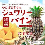 ヒメ日記 2026/06/24 16:30 投稿 南條(なんじょう) Ageha（あげは）