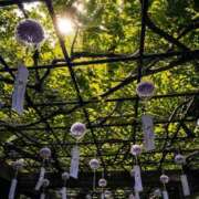 ヒメ日記 2026/07/22 21:45 投稿 南條(なんじょう) Ageha（あげは）