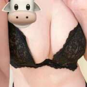 ヒメ日記 2025/09/16 11:30 投稿 夕霧（ゆうぎり） 渋谷 ダイアナ