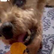 ヒメ日記 2025/03/01 11:11 投稿 あこ ぷよステーション大宮店