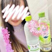 ヒメ日記 2025/06/17 21:23 投稿 あこ ぷよステーション大宮店