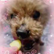 ヒメ日記 2025/06/22 15:23 投稿 あこ ぷよステーション大宮店