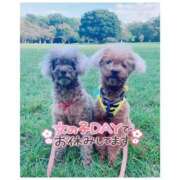 ヒメ日記 2025/08/01 14:13 投稿 あこ ぷよステーション大宮店