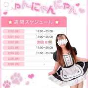 ヒメ日記 2026/02/20 10:10 投稿 あこ ぷよステーション大宮店