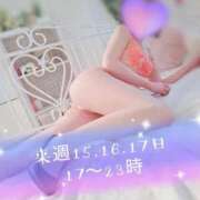 ヒメ日記 2025/10/11 17:16 投稿 西川のぞみ e女商事 池袋店