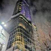 ヒメ日記 2025/04/03 21:25 投稿 ことね 新宿・新大久保おかあさん