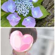 ヒメ日記 2025/06/04 13:10 投稿 ことね 新宿・新大久保おかあさん