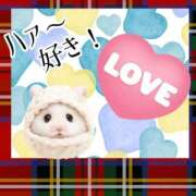 ヒメ日記 2025/11/11 23:17 投稿 るりか 熟女家 堺東店