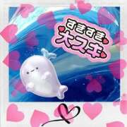 ヒメ日記 2025/11/14 23:14 投稿 るりか 熟女家 堺東店