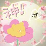 ヒメ日記 2025/11/16 23:17 投稿 るりか 熟女家 堺東店