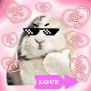 ヒメ日記 2026/01/08 23:17 投稿 るりか 熟女家 堺東店