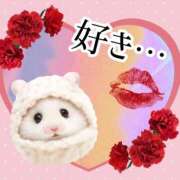 ヒメ日記 2026/02/04 21:17 投稿 るりか 熟女家 堺東店