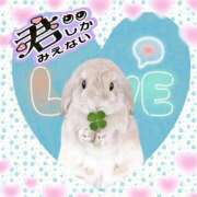 ヒメ日記 2026/02/07 23:07 投稿 るりか 熟女家 堺東店