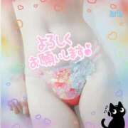 ヒメ日記 2026/02/13 13:04 投稿 るりか 熟女家 堺東店