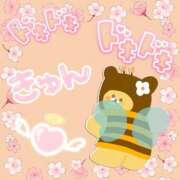 ヒメ日記 2026/03/16 20:15 投稿 るりか 熟女家 堺東店