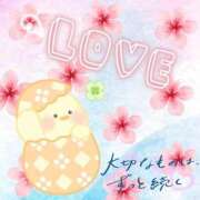 ヒメ日記 2026/03/22 23:17 投稿 るりか 熟女家 堺東店