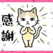 ヒメ日記 2026/07/14 23:17 投稿 るりか 熟女家 堺東店
