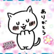 ヒメ日記 2026/09/07 23:07 投稿 るりか 熟女家 堺東店