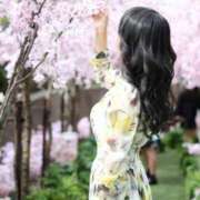 ヒメ日記 2025/04/24 12:04 投稿 Ruri ワンカラット～人妻の輝き～