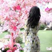 ヒメ日記 2025/05/31 21:45 投稿 Ruri ワンカラット～人妻の輝き～