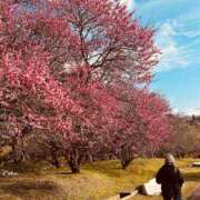 ヒメ日記 2026/03/08 14:50 投稿 Ruri ワンカラット～人妻の輝き～