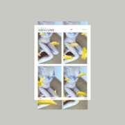 ヒメ日記 2026/01/09 21:15 投稿 さくら 小田原人妻城