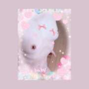 ヒメ日記 2026/01/18 14:01 投稿 さくら 小田原人妻城