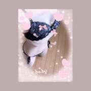 ヒメ日記 2026/01/19 00:06 投稿 さくら 小田原人妻城