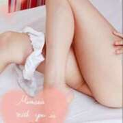 ヒメ日記 2024/12/26 02:18 投稿 ☆くみ ルピナス(青森)