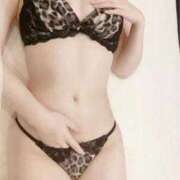 ヒメ日記 2026/02/19 04:37 投稿 ☆りさ ルピナス(青森)