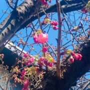 ヒメ日記 2025/03/21 15:17 投稿 あお 乳首愛撫専門店「五反田シルキータッチ」