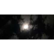 ヒメ日記 2024/12/15 00:13 投稿 冬乃かおり すべりん棒シャンプー娘。（横浜ハレ系）