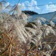 ヒメ日記 2024/12/31 14:35 投稿 冬乃かおり すべりん棒シャンプー娘。（横浜ハレ系）