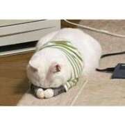 ヒメ日記 2025/01/05 15:33 投稿 冬乃かおり すべりん棒シャンプー娘。（横浜ハレ系）