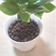 ヒメ日記 2025/01/31 12:03 投稿 冬乃かおり すべりん棒シャンプー娘。（横浜ハレ系）