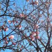 ヒメ日記 2025/03/14 14:15 投稿 冬乃かおり すべりん棒シャンプー娘。（横浜ハレ系）