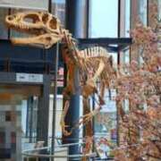 ヒメ日記 2025/04/13 20:43 投稿 冬乃かおり すべりん棒シャンプー娘。（横浜ハレ系）