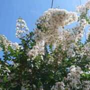 ヒメ日記 2025/06/17 12:16 投稿 冬乃かおり すべりん棒シャンプー娘。（横浜ハレ系）