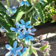 ヒメ日記 2025/07/15 12:04 投稿 冬乃かおり すべりん棒シャンプー娘。（横浜ハレ系）