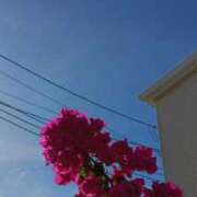 ヒメ日記 2025/07/18 07:53 投稿 冬乃かおり すべりん棒シャンプー娘。（横浜ハレ系）