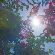 ヒメ日記 2025/07/20 13:11 投稿 冬乃かおり すべりん棒シャンプー娘。（横浜ハレ系）