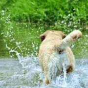 ヒメ日記 2025/08/01 16:11 投稿 冬乃かおり すべりん棒シャンプー娘。（横浜ハレ系）