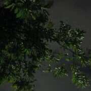 ヒメ日記 2025/09/27 04:21 投稿 冬乃かおり すべりん棒シャンプー娘。（横浜ハレ系）