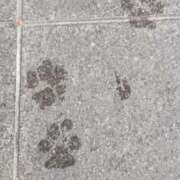 ヒメ日記 2025/10/01 09:02 投稿 冬乃かおり すべりん棒シャンプー娘。（横浜ハレ系）