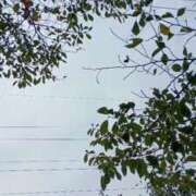 ヒメ日記 2025/10/12 13:40 投稿 冬乃かおり すべりん棒シャンプー娘。（横浜ハレ系）