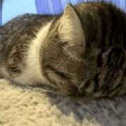 ヒメ日記 2025/10/25 01:13 投稿 冬乃かおり すべりん棒シャンプー娘。（横浜ハレ系）