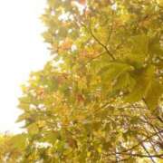 ヒメ日記 2025/10/28 11:29 投稿 冬乃かおり すべりん棒シャンプー娘。（横浜ハレ系）