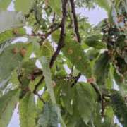 ヒメ日記 2025/11/09 08:11 投稿 冬乃かおり すべりん棒シャンプー娘。（横浜ハレ系）